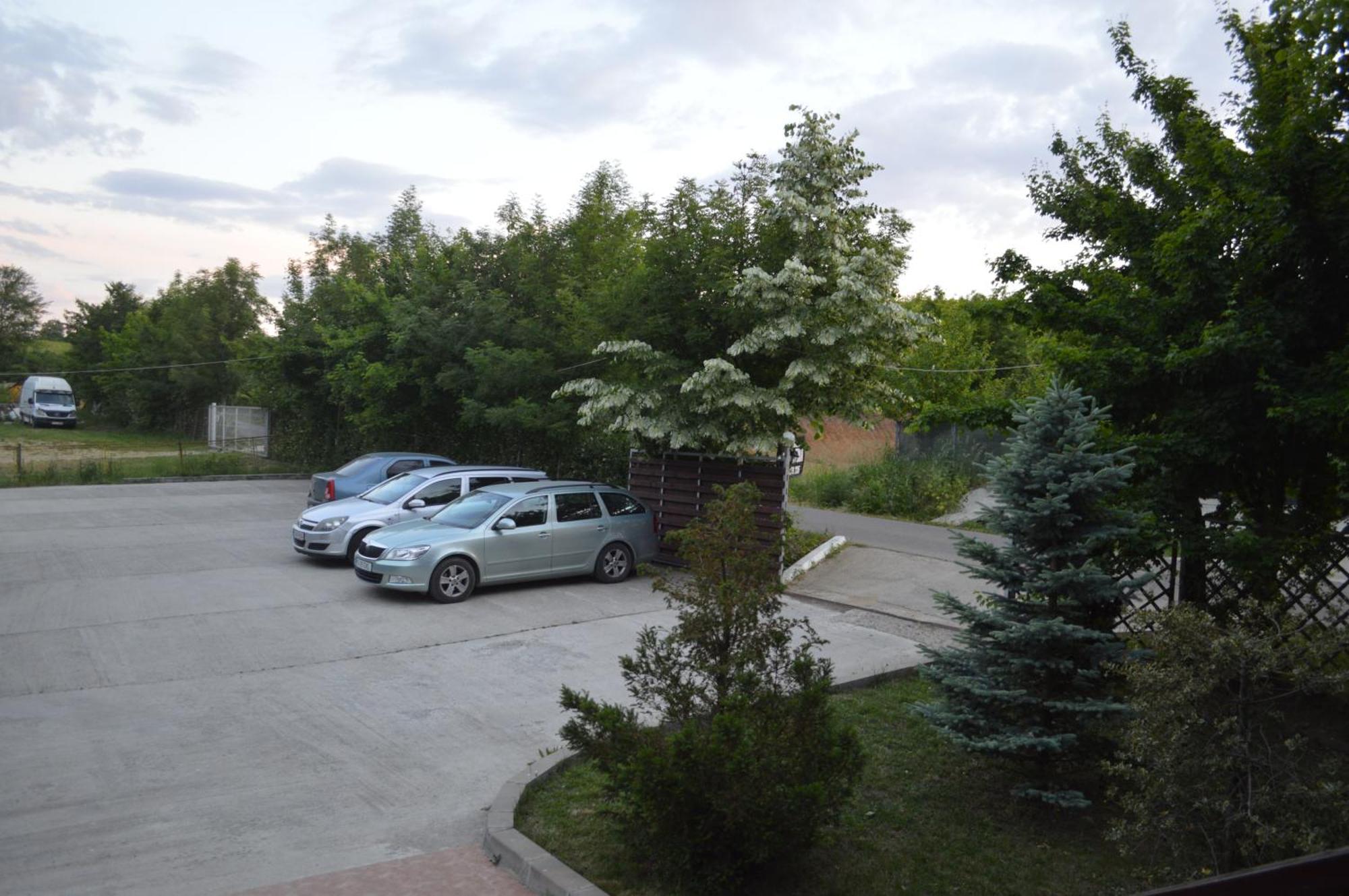 Pensiunea Visaventura Visan Exterior photo